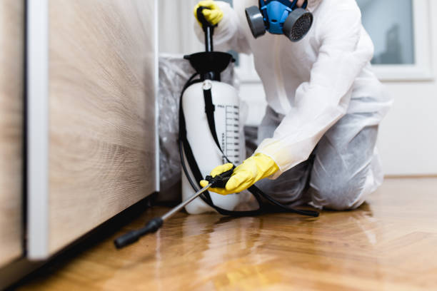 Best Emergency Pest Control  in Metropolis, IL