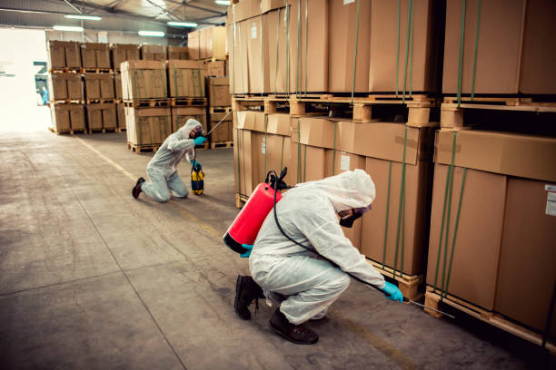 Best Wasp Removal Services  in Metropolis, IL