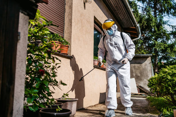 Best Cockroach Control Services  in Metropolis, IL