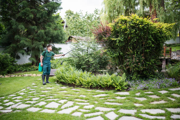 Best Local Pest Control Services  in Metropolis, IL