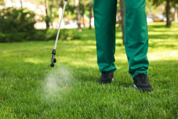 Best Wasp Removal Services  in Metropolis, IL