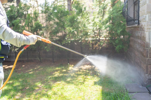 Best Cockroach Control Services  in Metropolis, IL