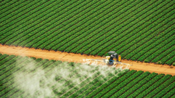 Best Pest Inspection Near Me  in Metropolis, IL