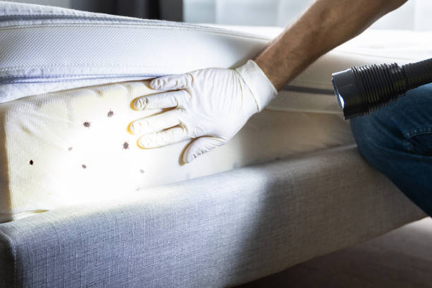 Best Ant Control Services  in Metropolis, IL
