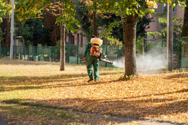 Best Pest Control Treatment  in Metropolis, IL