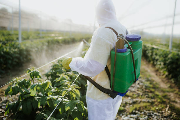 Best Commercial Pest Control Services  in Metropolis, IL